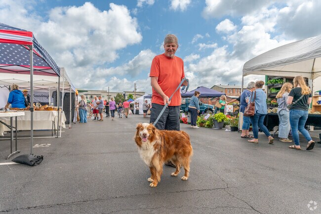 The Kingsport Farmers Market, held from April to November in nearby Downtown Kingsport, supports local farmers and artisans, and fosters a strong sense of community.