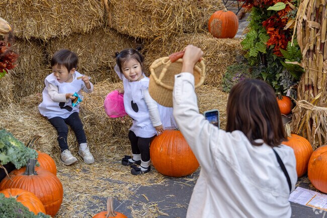 Downtown Evanston’s Trick or Treat event offers the perfect backdrop for festive fall photos.