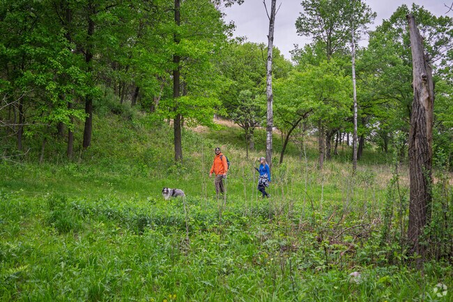 Terrace Oaks West Park has a network of unpaved trails.