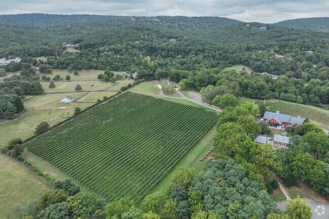 Wine lovers flock to The Winery at La Grange near Woolsey.