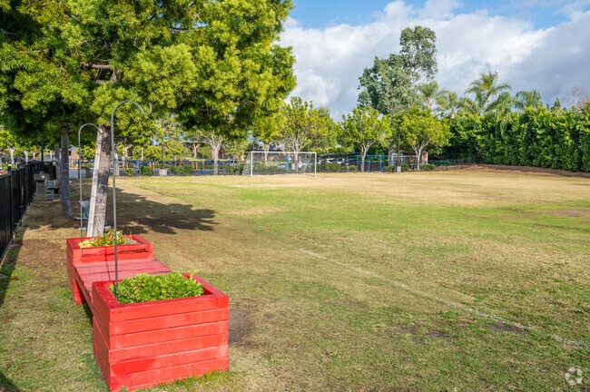 Stoneybrooke Christian School has open fields for sports and recreation.