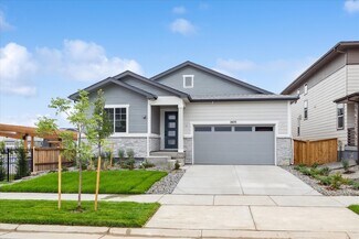 2633 Mondt Ln, Erie, CO 80026