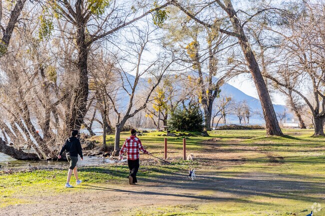 It's common to see people walking their pets near the lake in Clearlake.