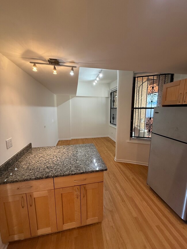 127 Maple Ave, Chicago, IL 60610 - photo 6