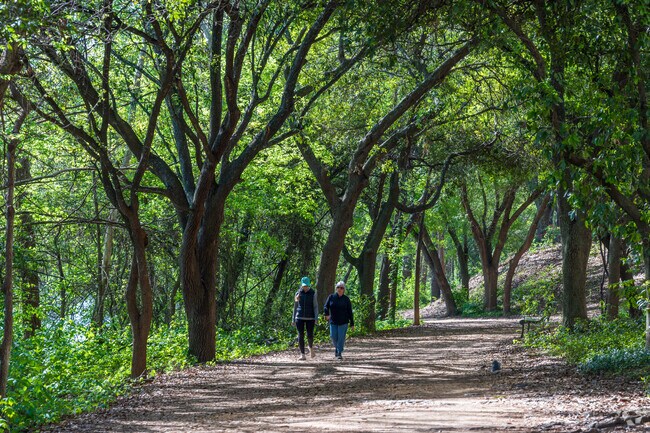 The trails in SoCo offer a cool retreat under lush tree canopies.