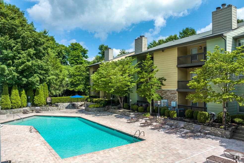 Goldelm at The Views