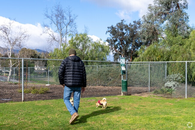 Take the pups to the local Horsetheif Canyon Ranch Dog Park.