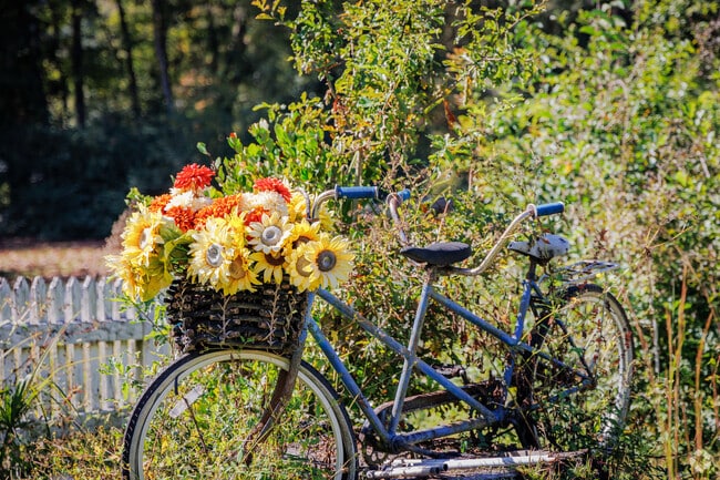 Adorable floral decorations make houses seem like home in Southeast Tallahassee.