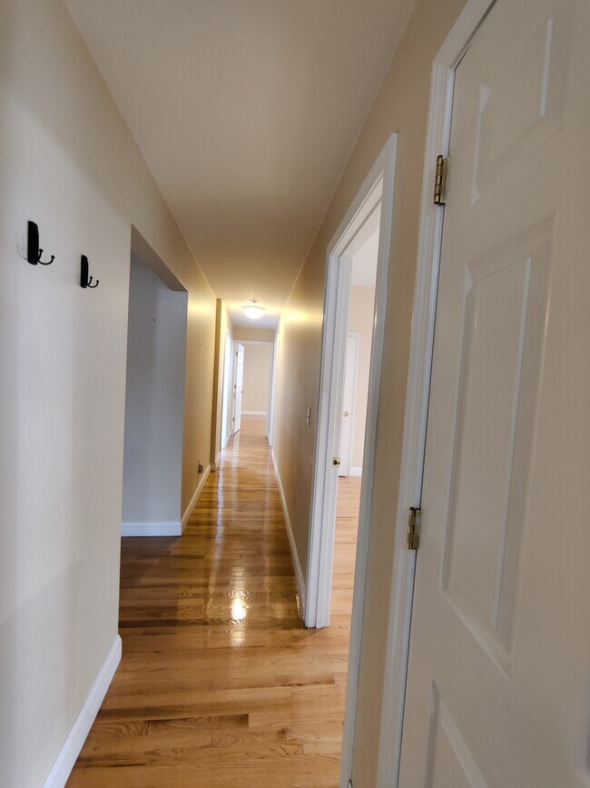 49 Saint Marys St unit 1, Brookline, MA 02446 - photo 7