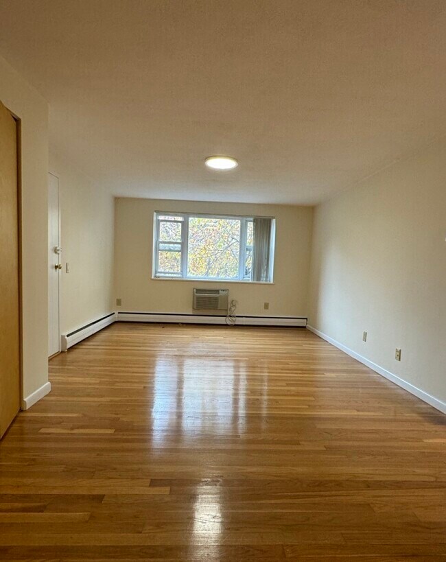 73 Parkman St unit 2, Brookline, MA 02446 - photo 6