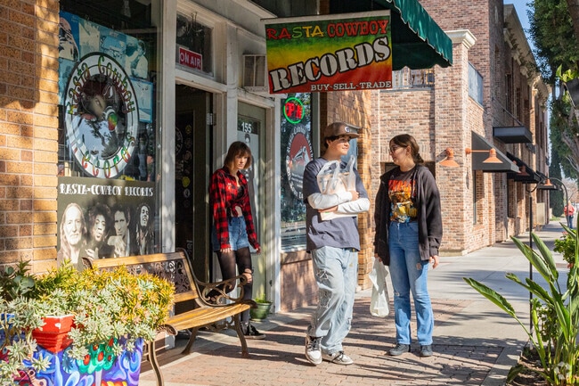Rasta-Cowboy Records is a popular shop just around the corner from North Tustin.