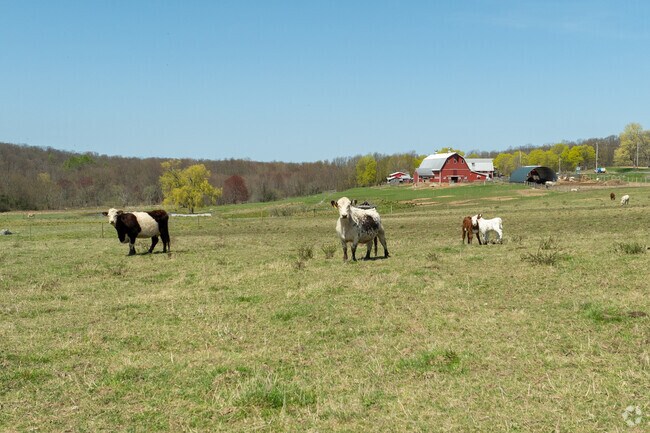 Washington features working farms and equestrian stables across its rural landscape.