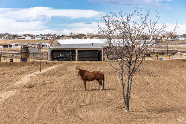Horses are common in Box Elder Creek Ranch.