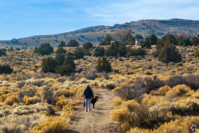 Sky Ranch is surrounded by desert trails where residents love to take their dogs for walks.