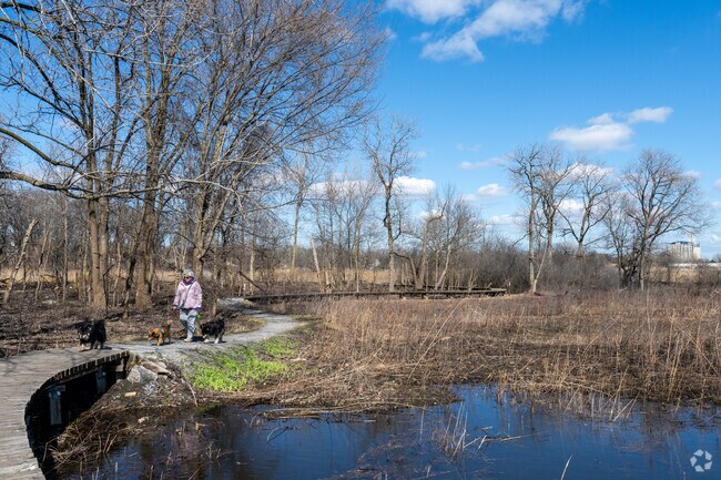 Take your dogs on a walk in Izaak Walton Preserve near East Hazel Crest.