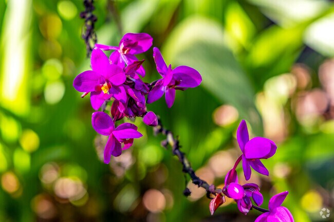 Florida Botanical Gardens has so many colorful flowers and plants that bring vibrance to the park.