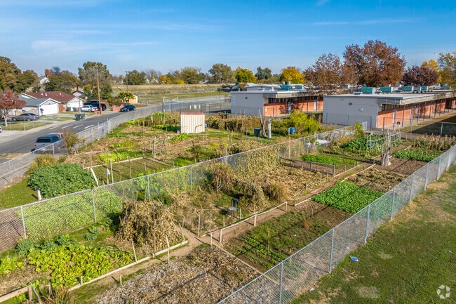 Martin Luther King Jr. Technology Academy has a garden for horticulture opportunities.