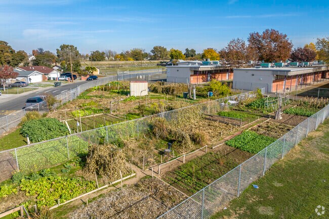 Martin Luther King Jr. Technology Academy has a garden for horticulture opportunities.