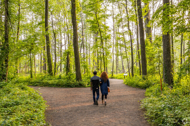 Franconia residents love taking walks to emerge with nature at Huntley Meadows Park.