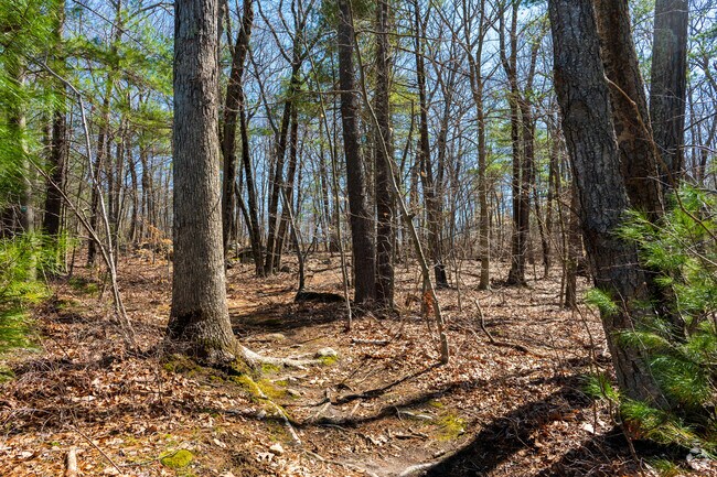 Residents can also explore the nearby Shining Rock Conservation Land.