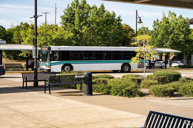 With the local public transportation and Amtrak, you could get around Albany without a car.