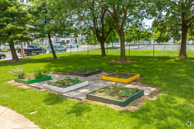 Emmaus Jefferson Elementary School students practice their green thumbs in a school garden.