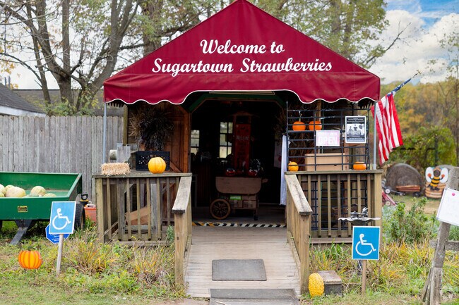 Sugertown Strawberries is one of the only shopping locations in Willistown's borders.