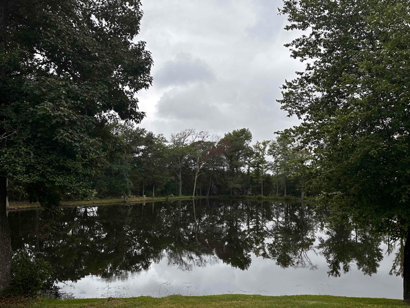 11773 County Rd 140, Flint, TX 75762 - photo 1