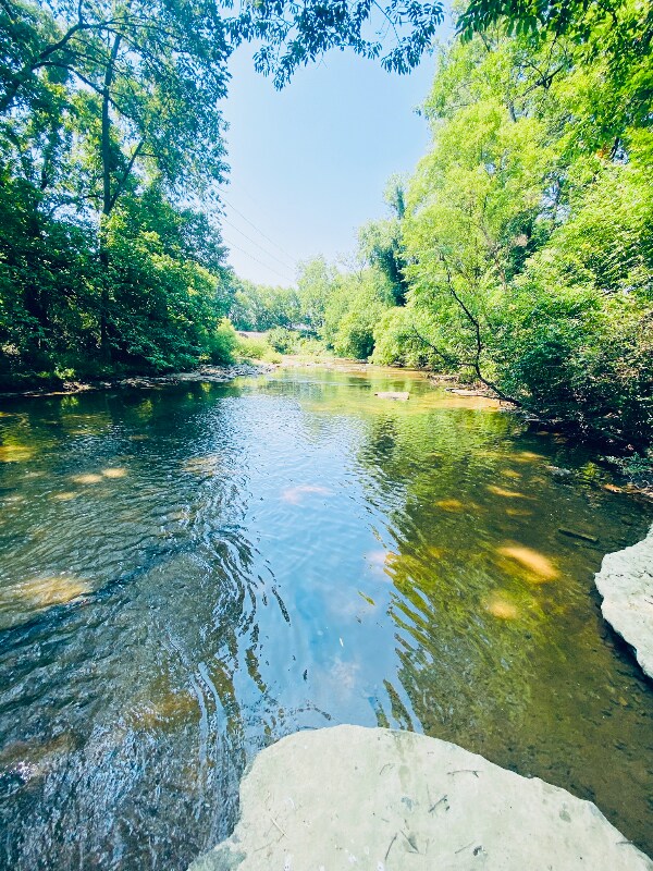 263 Southburn Dr, Hendersonville, TN 37075 - photo 5