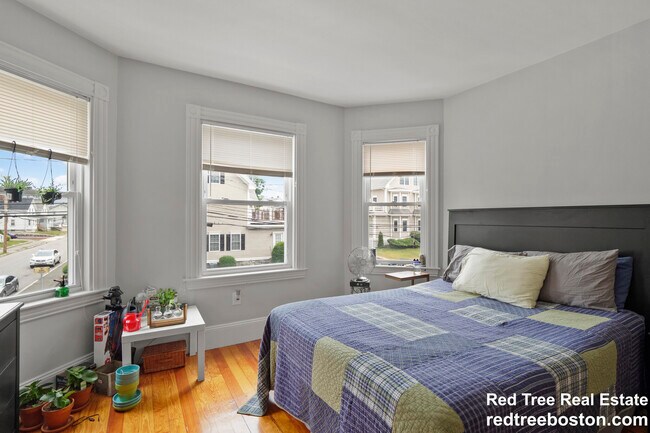 139 Adams St, Waltham, MA 02453 - photo 5