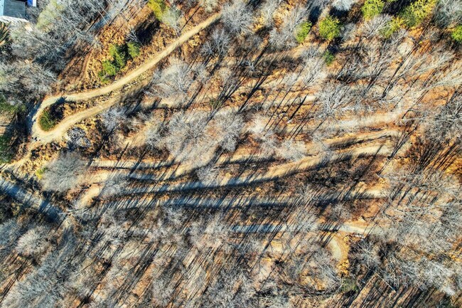 443 Clove Rd unit ID1366355P, Monroe, NY 10950 - photo 5