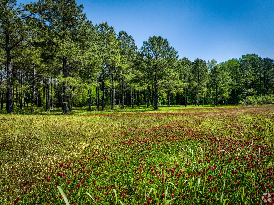 NH_Pecan Grove_559004_NetNew_Final_AHF_050125