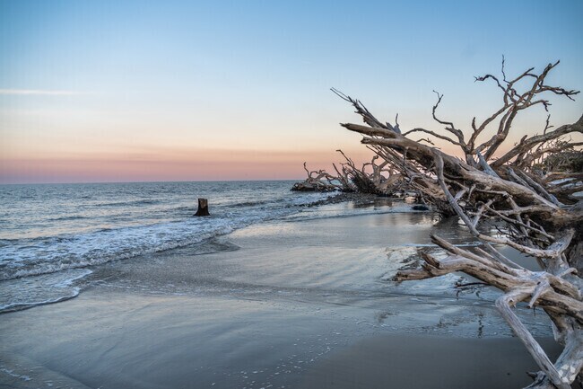 Old Town is only minutes from places like Driftwood beach, a tree graveyard.