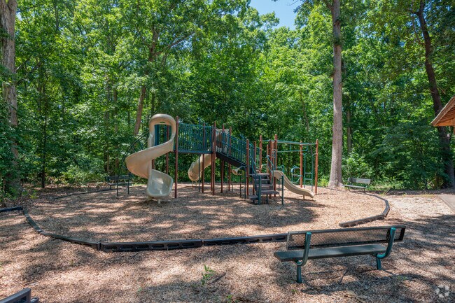 Playground shaded by the trees at Randolph Elementary School.