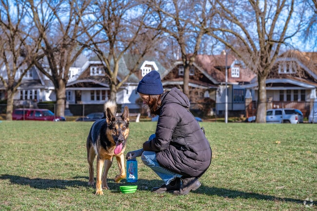 Bring your best friend to Roverwest Dog Park in Riverwest.