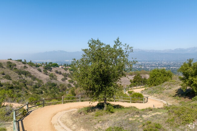 Trails line the mountain edges of Ramona, and allow for easy hiking.