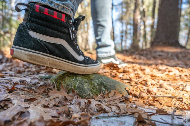 Clear your head as you walk the trails of Stone Farm Conservation Area in Winters Corner.