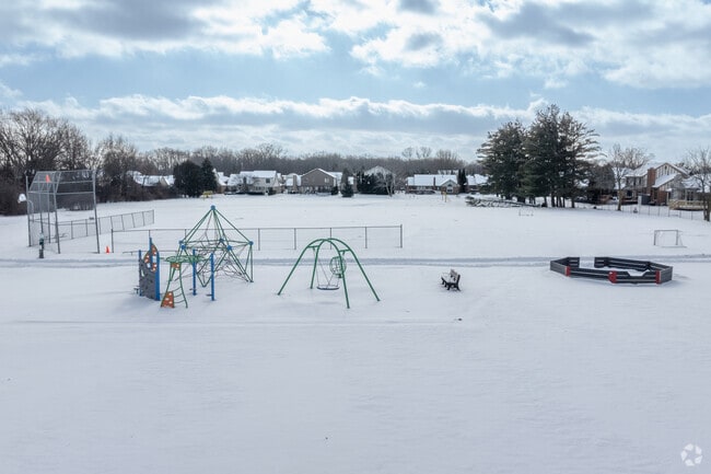 Brooklands Elementary School playground.