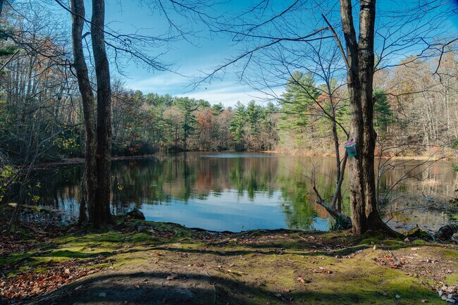 Crystal Pond is found at the base of Cook’s Woods.