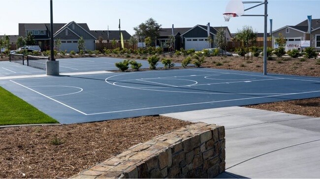 Half-court basketball court