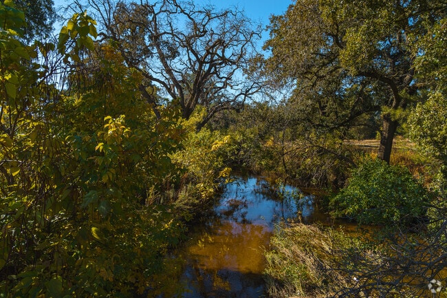 Small hidden and shady picnic spots line the shores of Dry Creek at the north side of Robla.