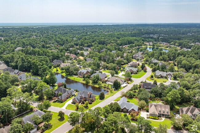 Masonboro Forest is only a few miles away from the ocean.