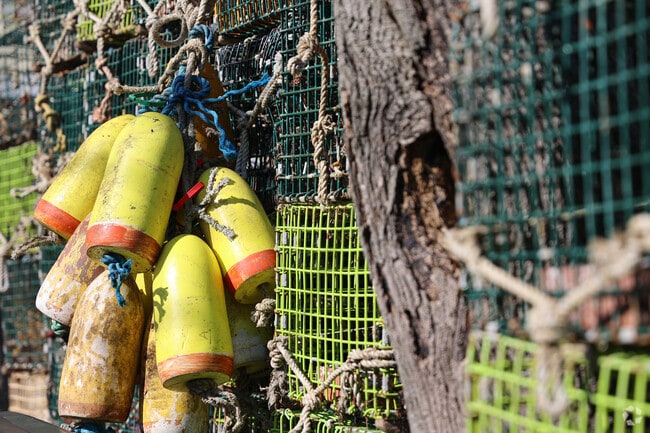 Lobster traps and brightly colorful buoys make up the Marblehead landscape.
