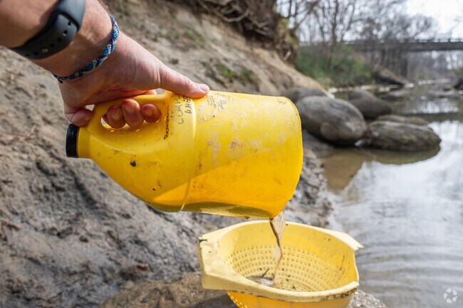 Booneville residents search for fossils from the Cretaceous Age at W.M. Browning Cretaceous Fossil Park.