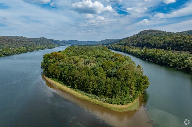 Wildlife flourishes at the Ohio River Islands National Wildlife Refuge.