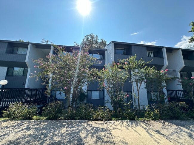 2816 SW 14th Dr, Gainesville, FL 32608 - photo 3