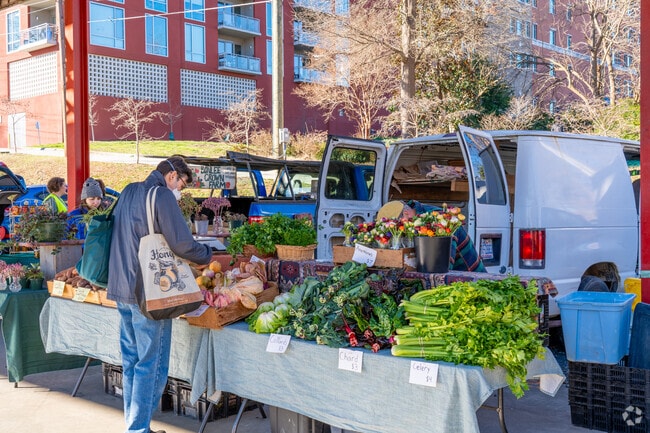Central Park residents peruse fresh local produce at the Durham Farmers' Market.