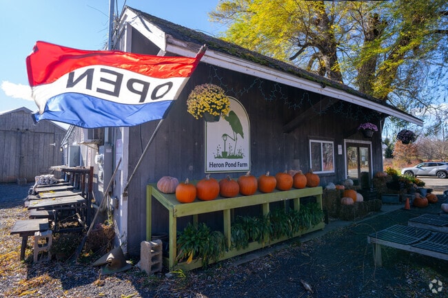 Heron Pond Farm in South Hampton sells vegetables, herbs, and seedlings.