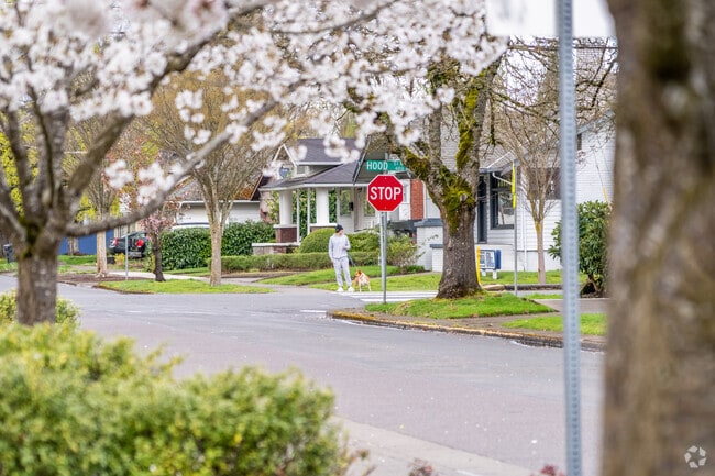 Residents enjoy walking their dogs on the streets of the Grant neighborhood in Salem, OR.
