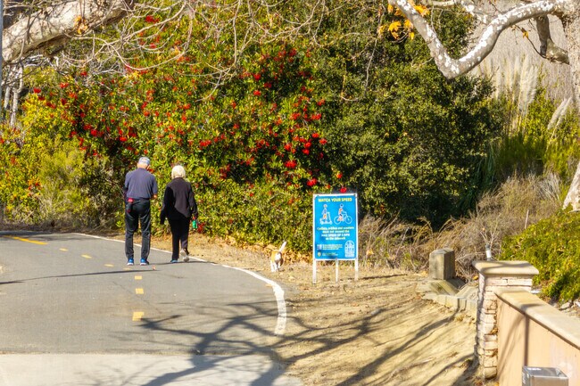Salt Corridor Regional Park has paved paths for relaxed peaceful walks.